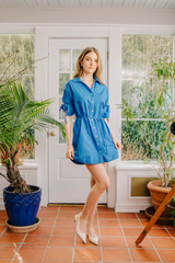 Gray Shannon Mini Dress Mini Dress