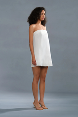 Slate Gray Nerida Mini Dress Mini Dress