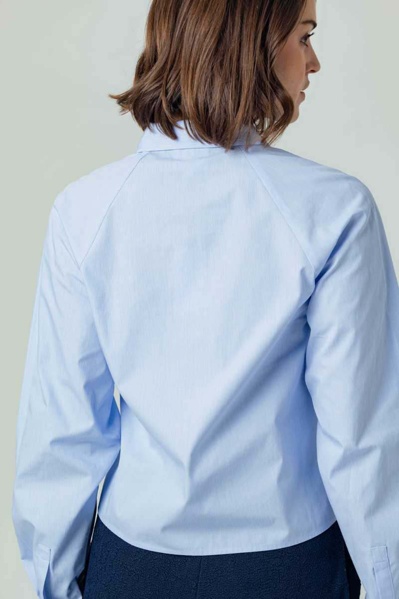 Light Steel Blue Rochelle Shirt in Della Blue Stripe Top
