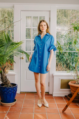 Gray Shannon Mini Dress Mini Dress