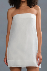 Gray Nerida Mini Dress Mini Dress