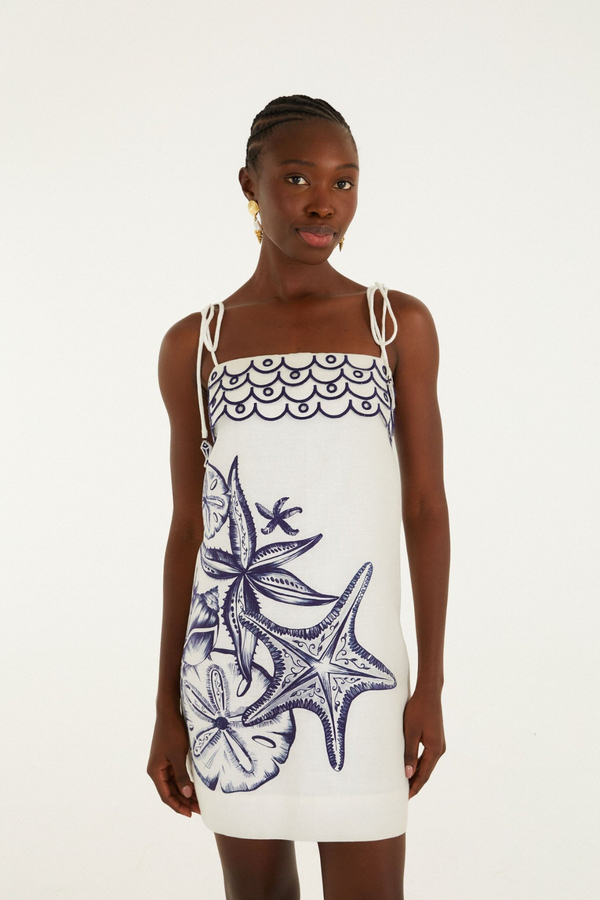 embroidered beige dress Lane Embroidered Midi Dress in Cream