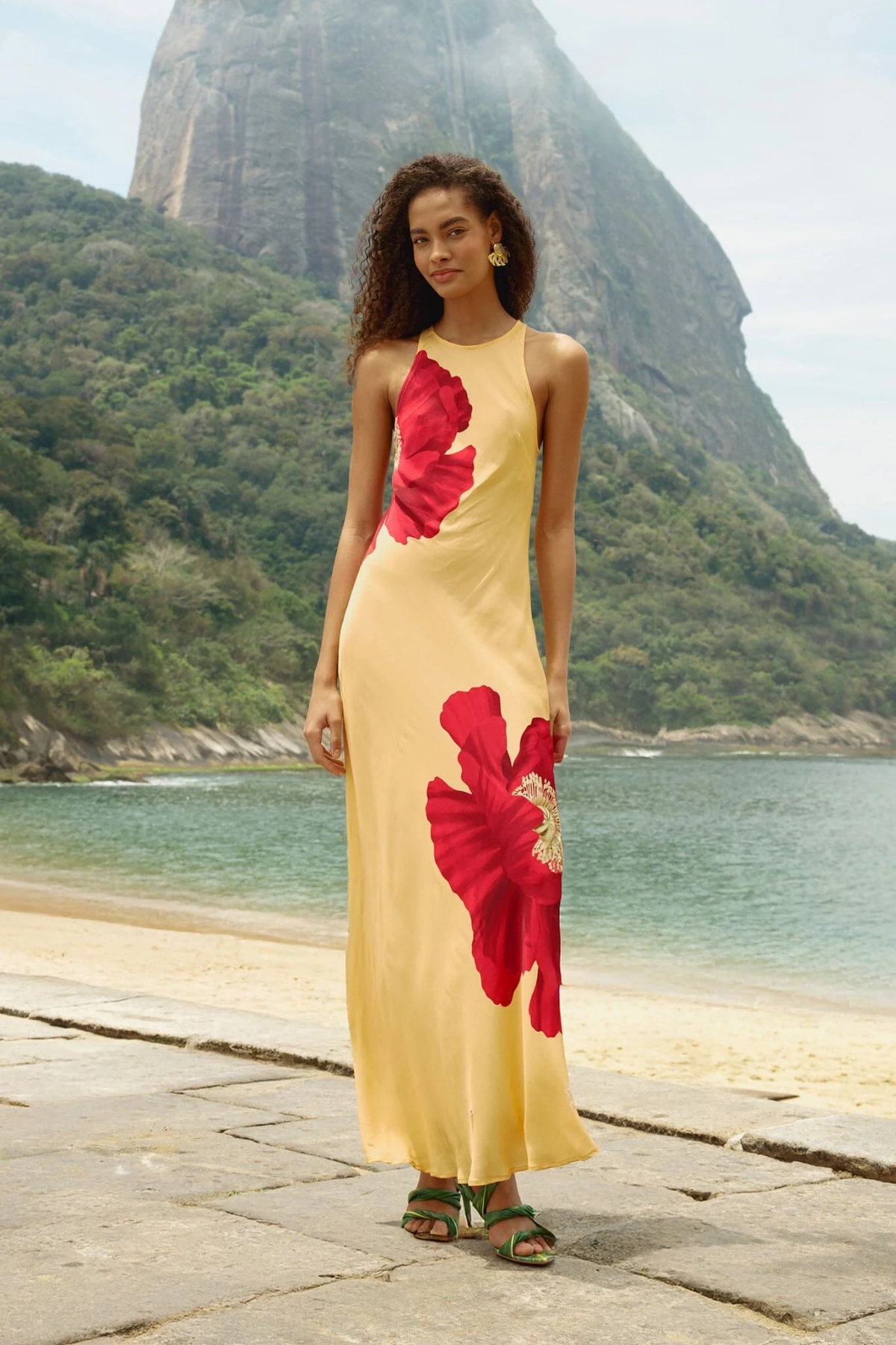 FARM Rio Poppy Flowers Maxi Dress | Floral | Size M | Shopbop FARM Rio Poppy Flowers Maxi Dress | Floral | Size M | Shopbop