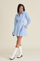 Light Gray Ariany Dress Mini Dress