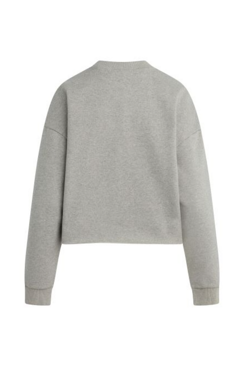 Dark Gray The Cropped Collegiate Sweatshirt Sweatshirt