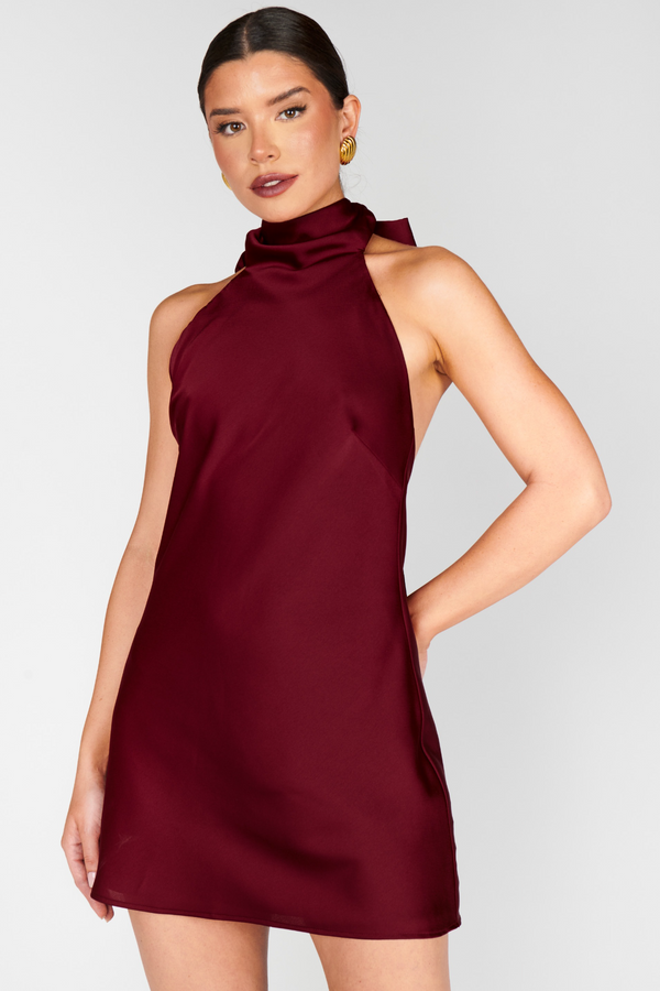 Dark Red Lisa Mini Dress Mini Dress
