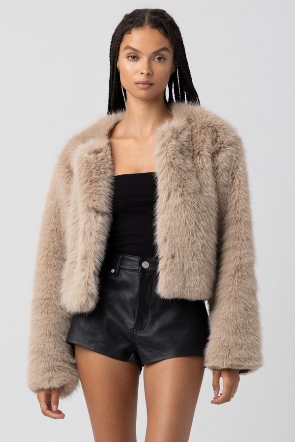 Light Gray Prime Asset Jacket Jacket