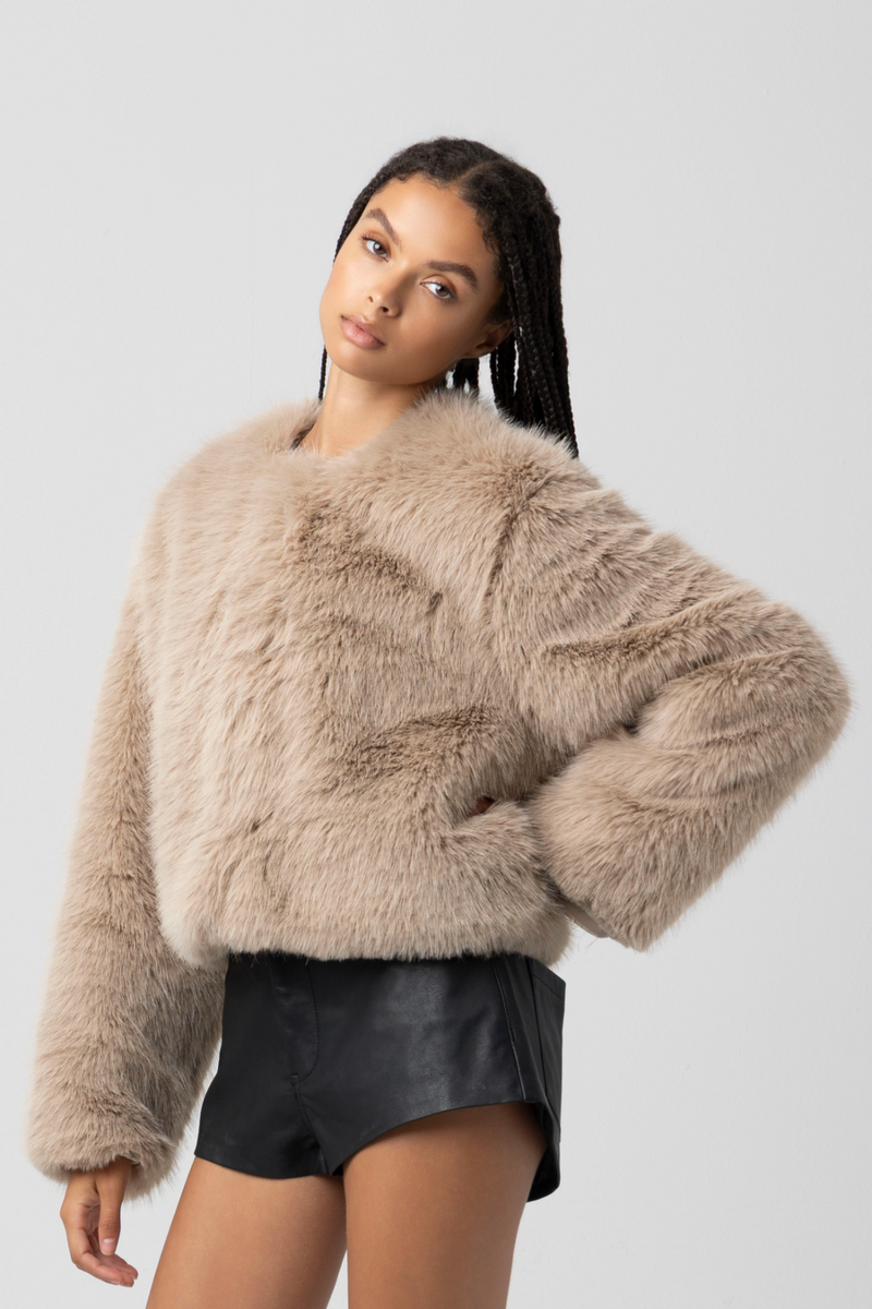 Light Gray Prime Asset Jacket Jacket