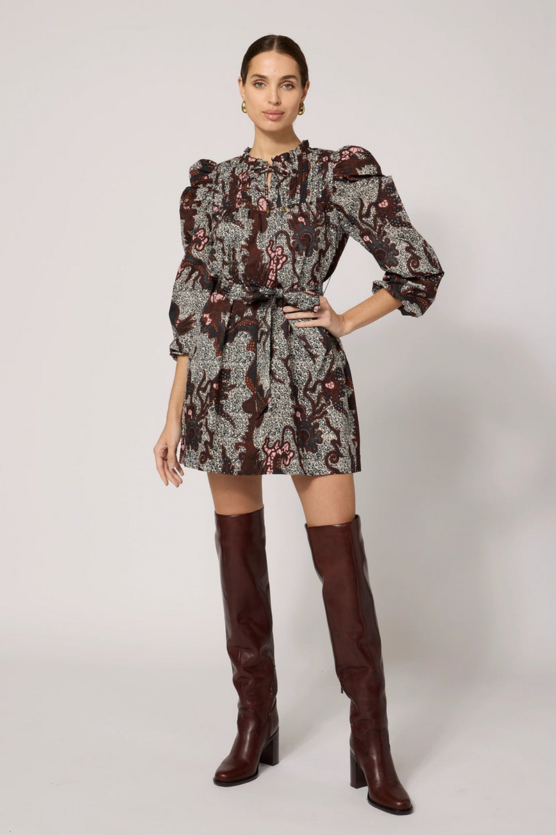 Light Gray Ivana Mini Dress in Castello Mini Dress