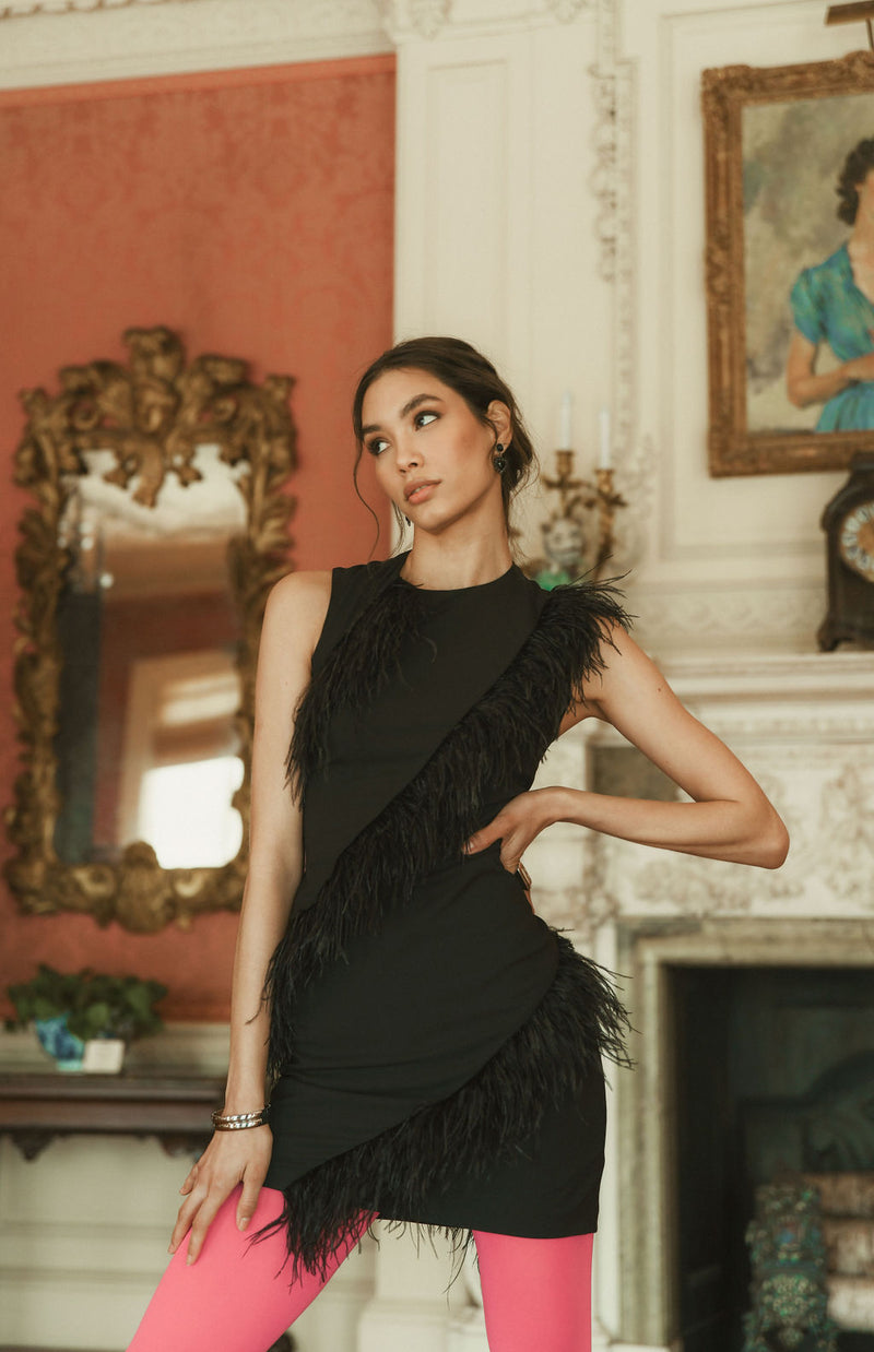 Sienna Pandy Mini Dress Mini Dress