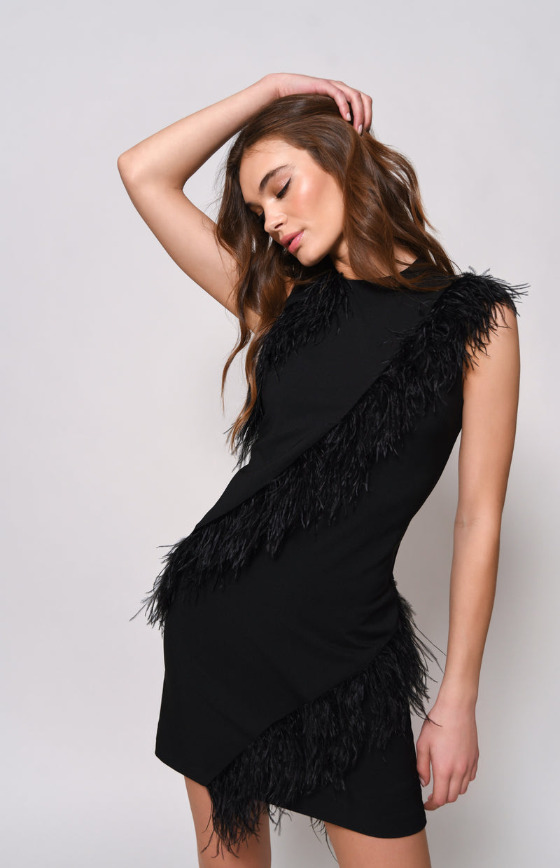 Black Pandy Mini Dress Mini Dress