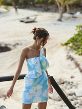 Light Gray Tenny Dress Mini Dress