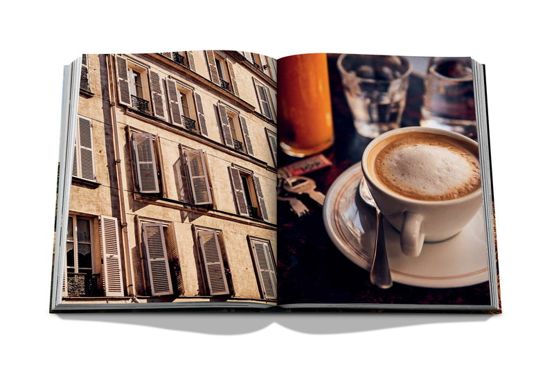 Rosy Brown Paris Chic Book
