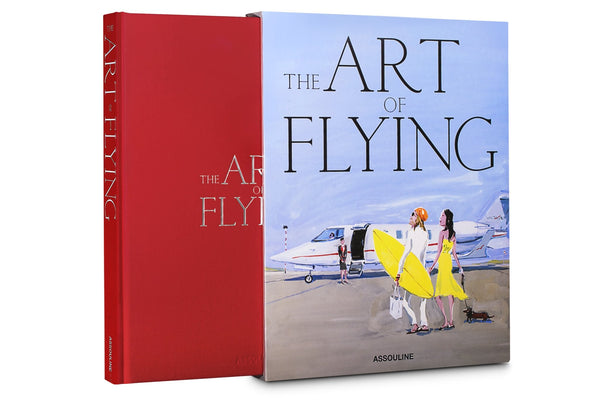 Light Steel Blue The Art Of Flying Book