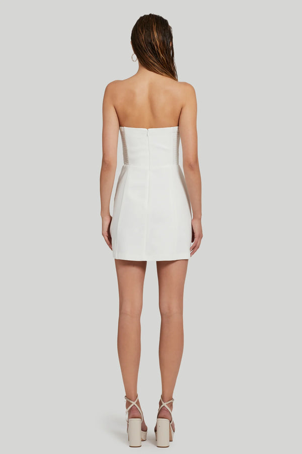 Light Gray Fae Rose Dress Mini Dress